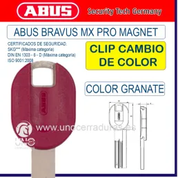 SUPLEMENTO CLIP COLOR...