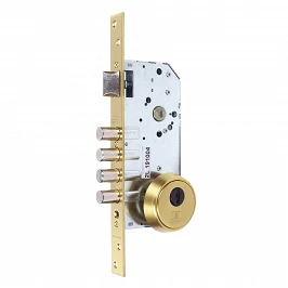 CERRADURA TESA EMBUTIR R200B 1P 50MM LATON R200B566L