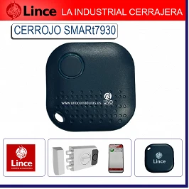 MANDO PARA CERROJO...