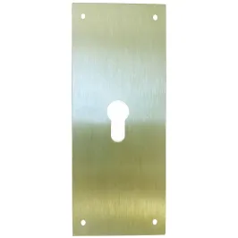 PLACA CERRADURA 80X250MM...