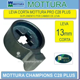 SUPLEMENTO LEVA CORTA...